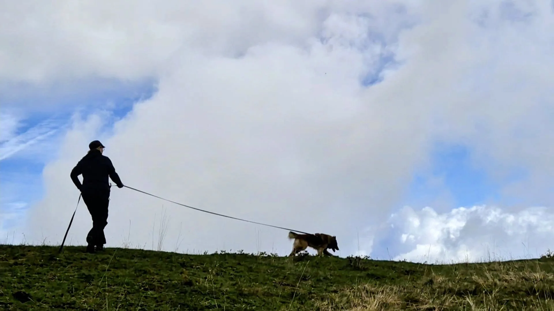 Speuren met je hond Lelystad